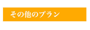 その他のプラン
